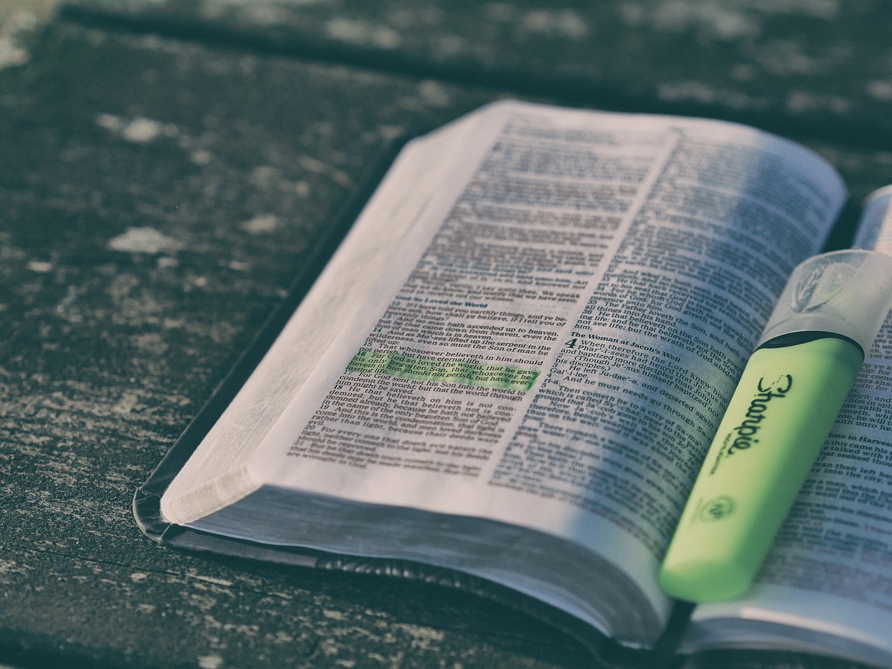 bible, book, highlighter, pages, text, open, open book, open bible, holy bible, bible reading, bible study, psalms, bible stories, bible, bible, bible, bible, bible, bible study