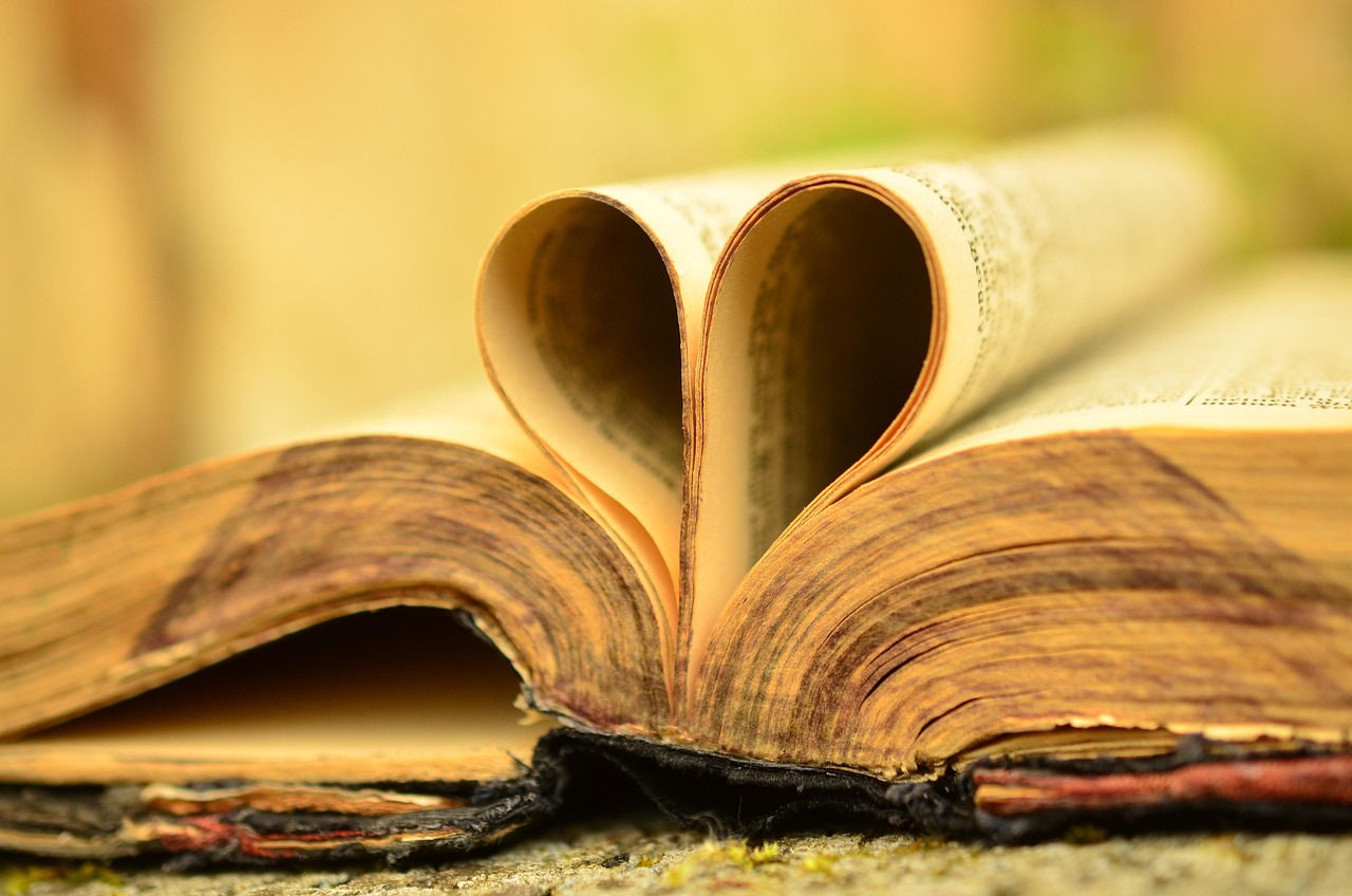 a book, bible, old, antique, holy scripture, christianity, faith, christian, the holy book, pages, the art of book binding, antiquarian, word of god, read, holy, god, edges, religion, text, heart, pitched, bible, bible, bible, bible, bible